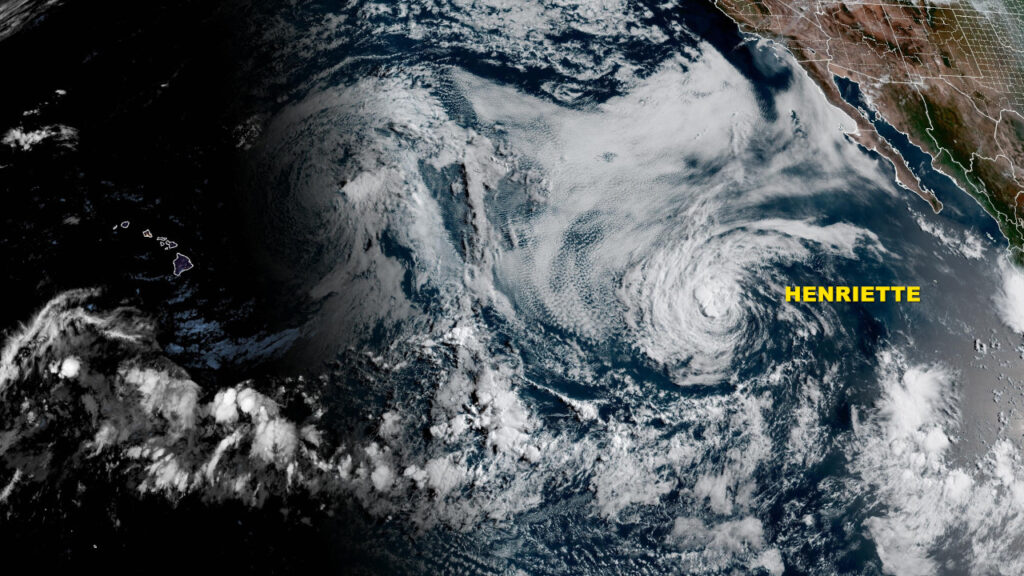 Tropical Wave News